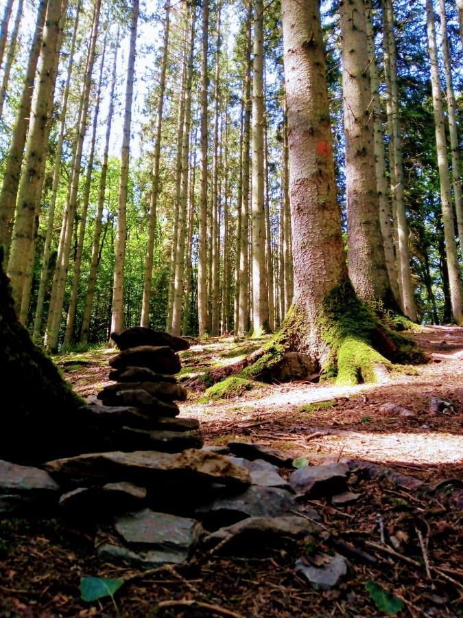 La Roche En Ardenne , Welcome Bagian luar foto